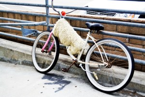 blog3
