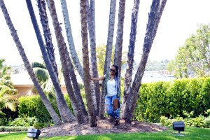 fashblog